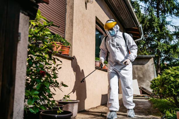 Pest Control Cost in Boaz, WV